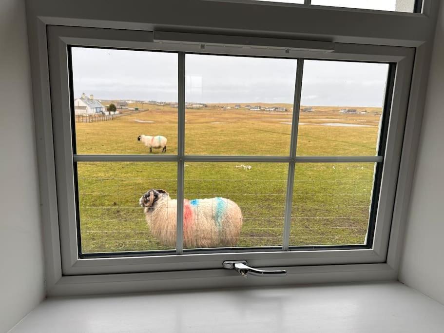 Modern Refurbished Church Nr Butt Of Lewis Beaches Port of Ness المظهر الخارجي الصورة